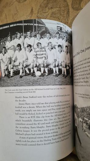 Passing Through. By Declan HASSETT. FIRST EDITION. Paperback In Good Condition.