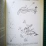 Hardy Geraniums YEO, Peter Published by Croom Helm in 1985 Image 2