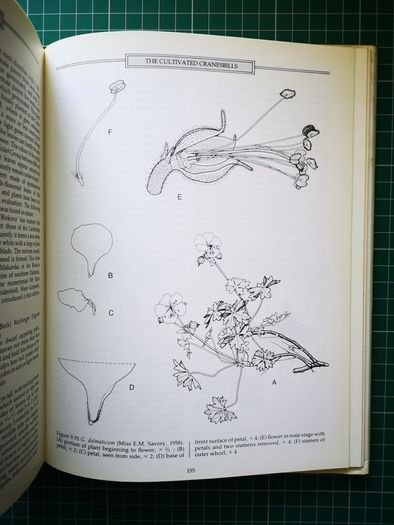 Hardy Geraniums YEO, Peter Published by Croom Helm in 1985