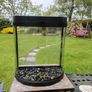 Fish Tank 19ltr Image 4