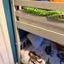 Bunkbed Image 2