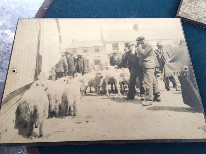 3x period photo prints