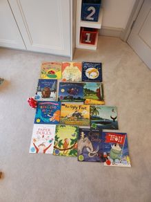 Huge bundle of storybooks by Julia Donaldson
