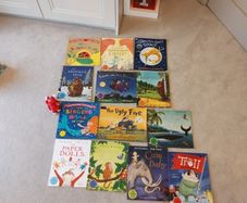 Huge bundle of storybooks by Julia Donaldson
