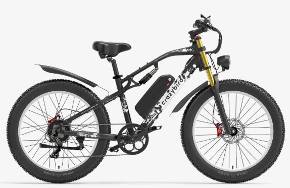 Crazybird XF900 Electric Bike