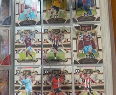 Panini Select