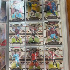Panini Select
