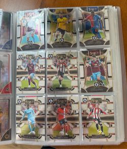 Panini Select