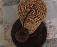 cat scratching post