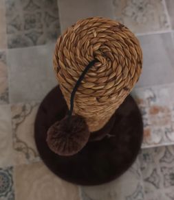 cat scratching post