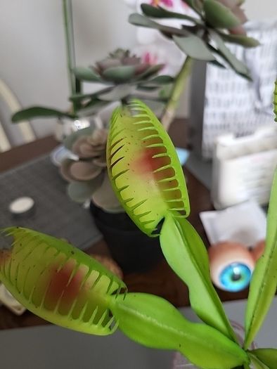 Venus flytrap artifical plant
