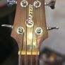 acoustic bass Image 4