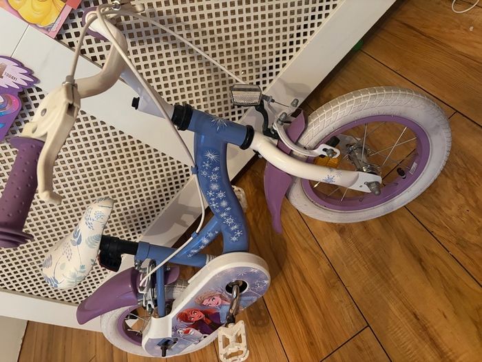 Frozen bike