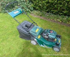 Petrol Lawnmower