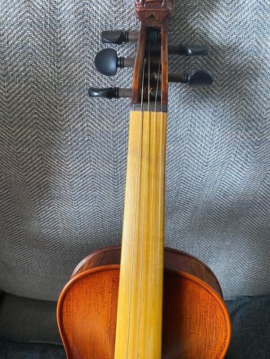 Fiddle new, 5string