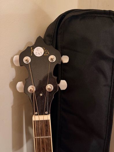 4 String Tenor Banjo with bag/holder