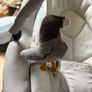 Baby swing Image 5