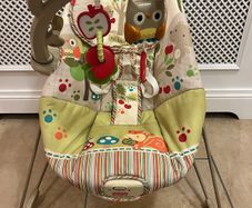 Baby bouncer