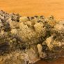 Vintage Hand-made mining pewter figures on pyrite Image 9