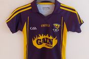 wexford gaa jersey
