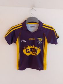 wexford gaa jersey