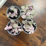 Small tradescantia house plant Image 3