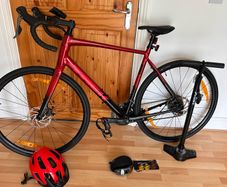 Trek Domane