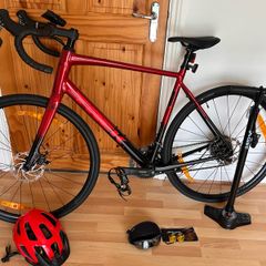 Trek Domane