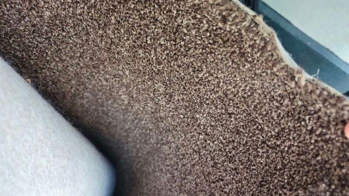 brown carpet cut off
