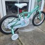 apollo kids bike Image 2