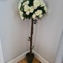 Rose Trees for Hire Image 2