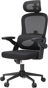 Ergonomic Office Chair Sihoo M102C