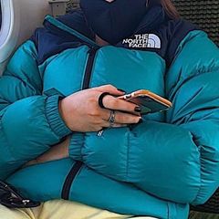 the north face puffer jacket