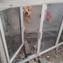 PVC Window Image 2
