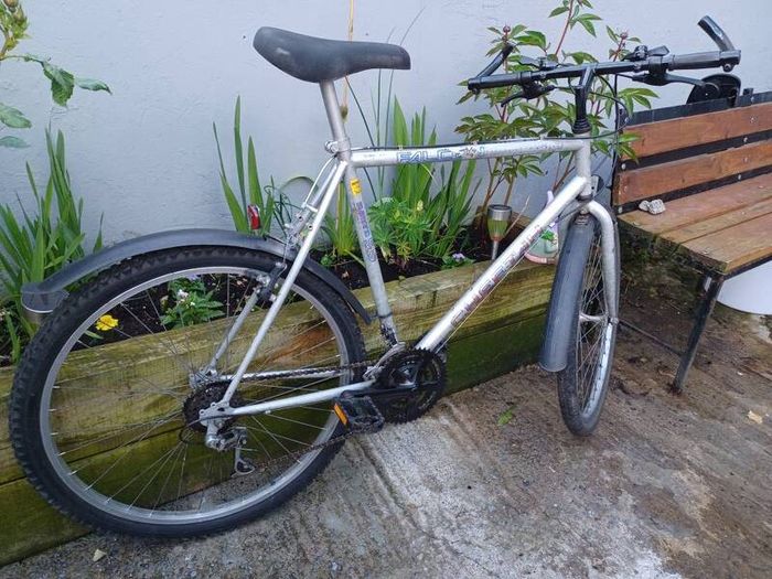 Falcon mens bike