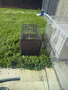 bird cage