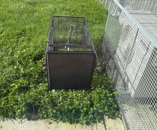 bird cage