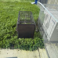 bird cage
