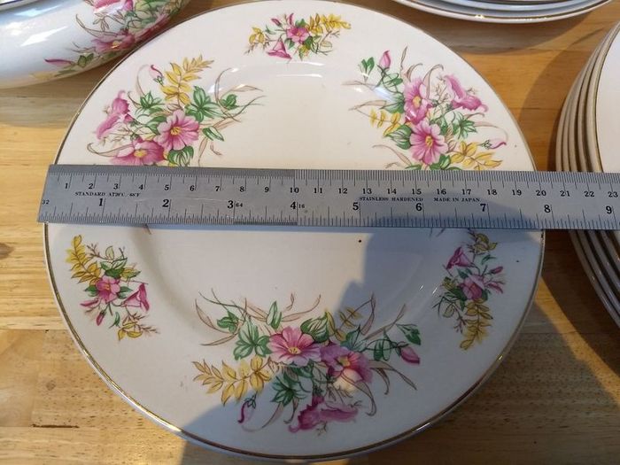 Beautiful 1950s Almost Complete Dinner Service by Arklow Pottery in Pattern Number 2508