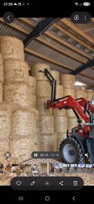 Bale giraffe handler