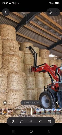 Bale giraffe handler