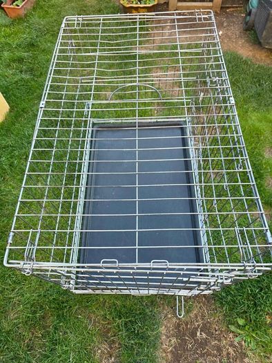 Large Dog Cage