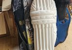 Cricket pads junior