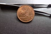 Irish Penny 1952.Good Lustre.Hen and Chicks.A / UNC.