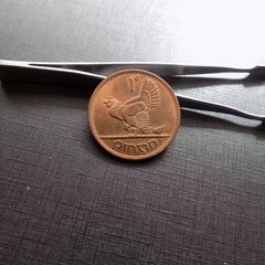 Irish Penny 1952.Good Lustre.Hen and Chicks.A / UNC.