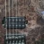 Kiesel Solo-6 Custom Burl Maple Top - Transparent Black Image 3