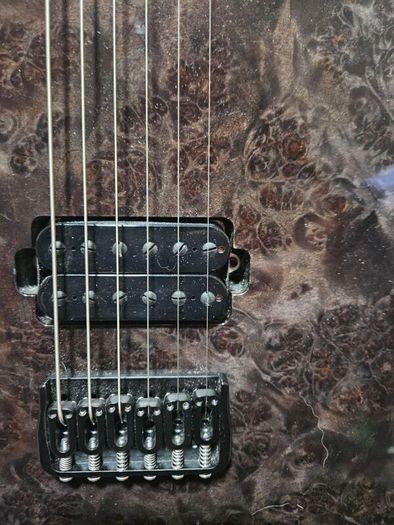 Kiesel Solo-6 Custom Burl Maple Top - Transparent Black