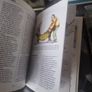 4 book lot on the Cavalier King Charles Spaniels Image 8
