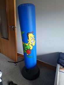 Boxing/punching bag