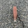 hydrant hose Image 2